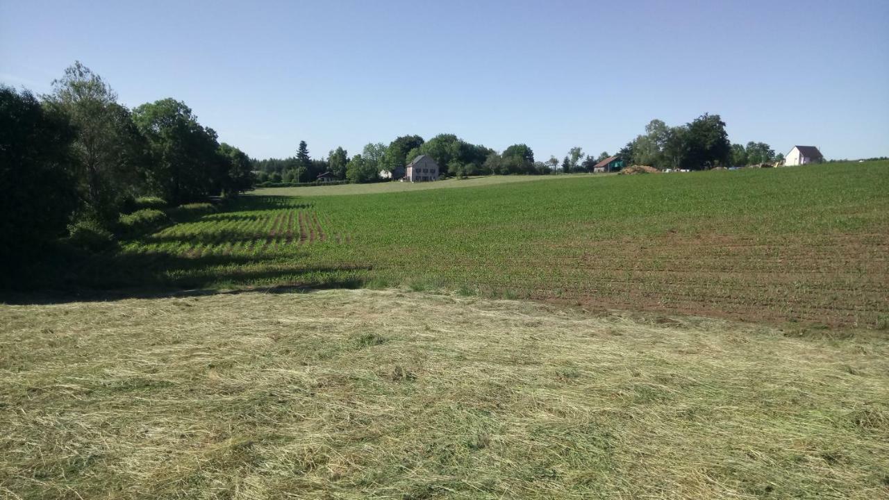 Gite Les Chaumeix Prondines Bagian luar foto