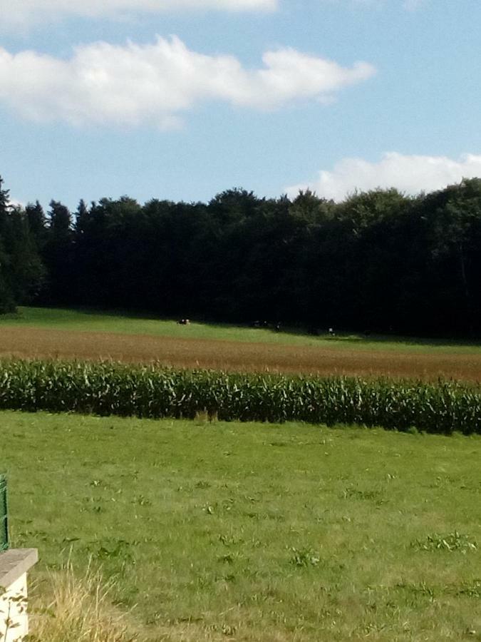 Gite Les Chaumeix Prondines Bagian luar foto