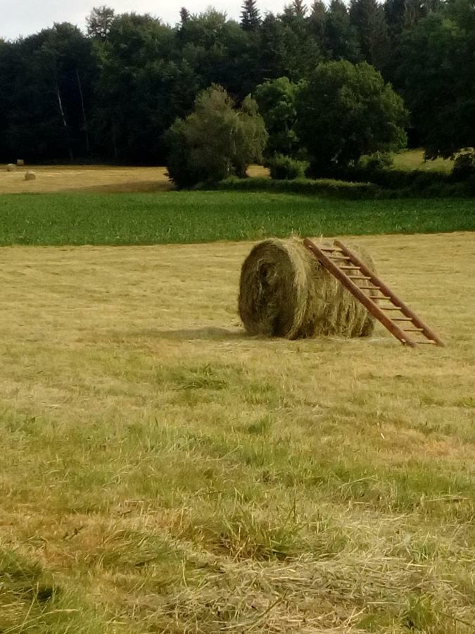 Gite Les Chaumeix Prondines Bagian luar foto